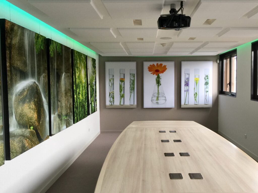 Cadres et dalles acoustiques salle de réunion de BASF pulnoy